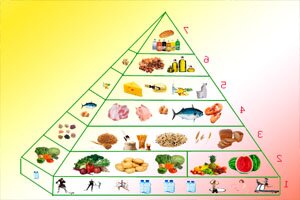 Принципы здорового питания